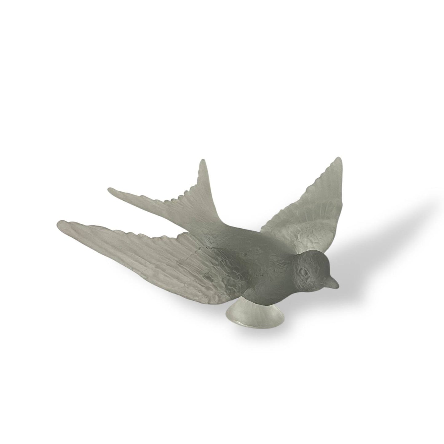 Swallow