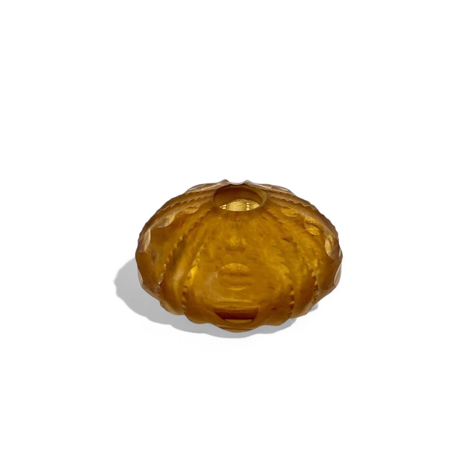 Sea Urchin Vase