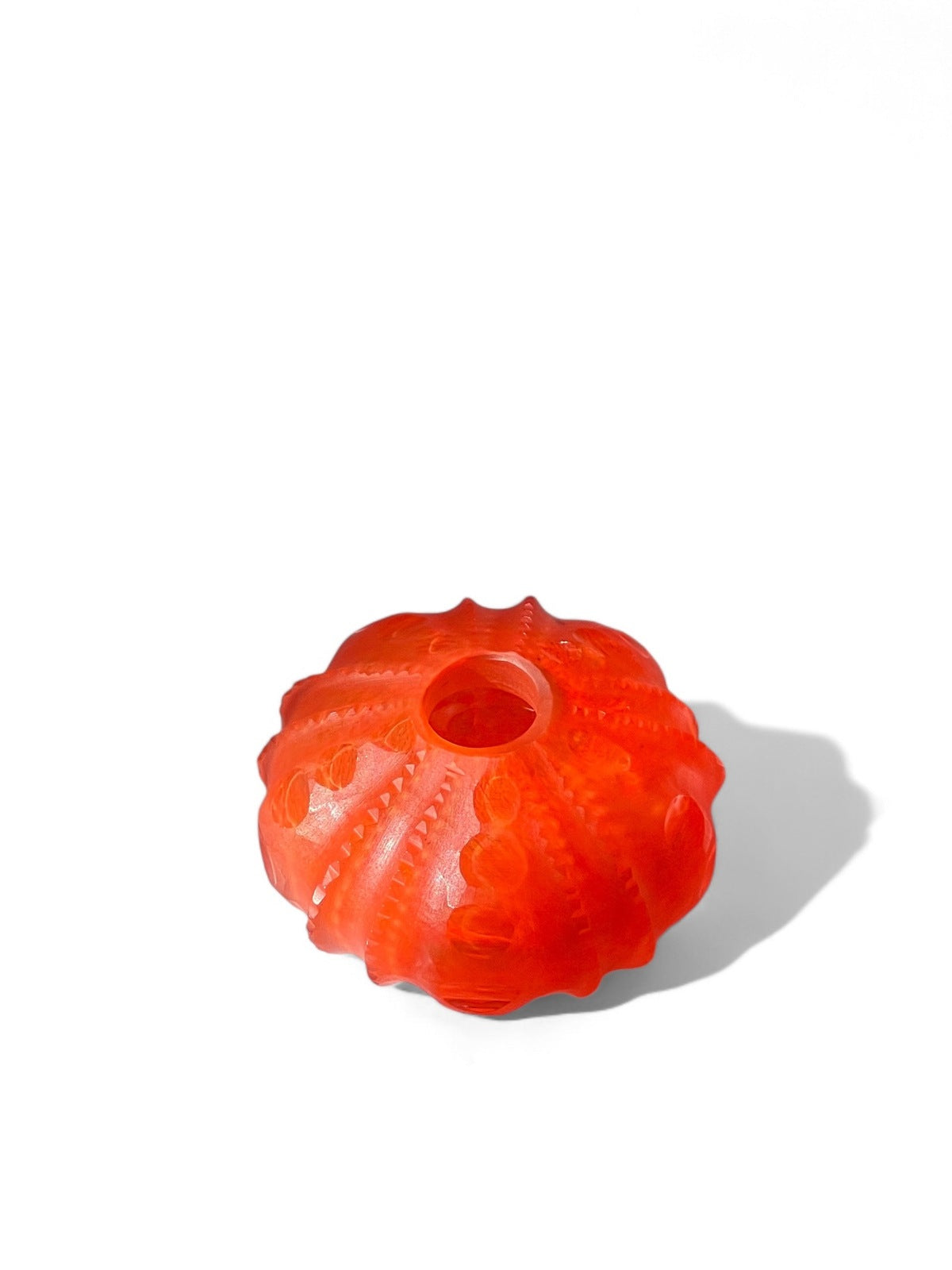 Sea Urchin Vase