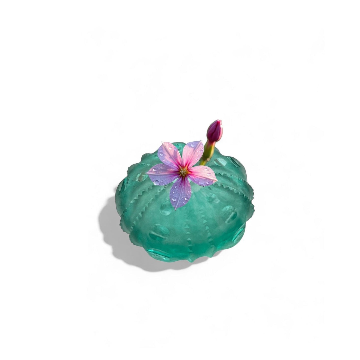 Sea Urchin Vase