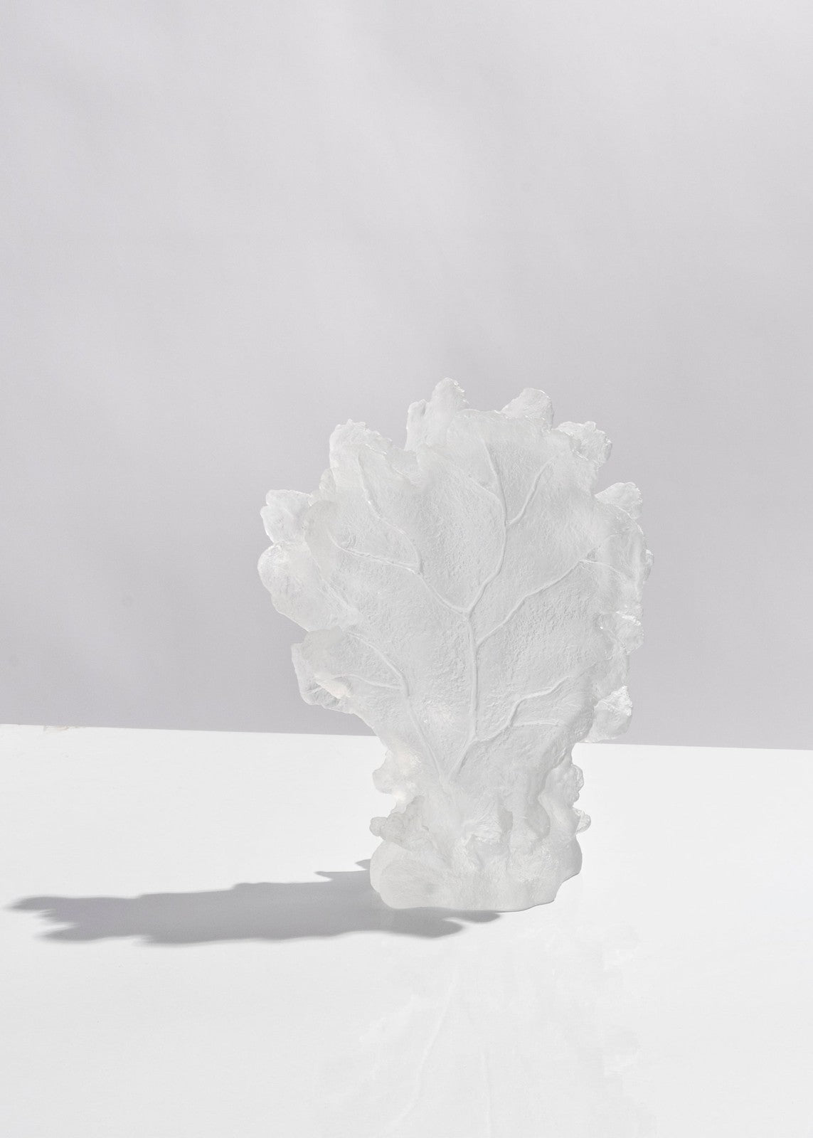 Coral Sculpture