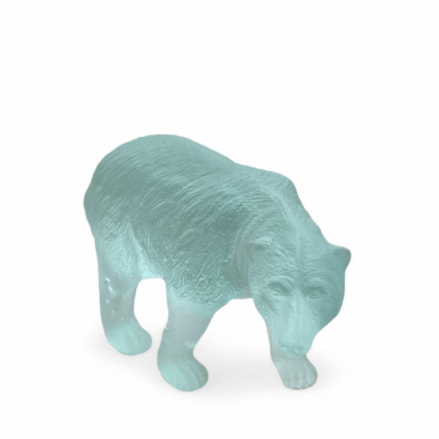 Polar Bear