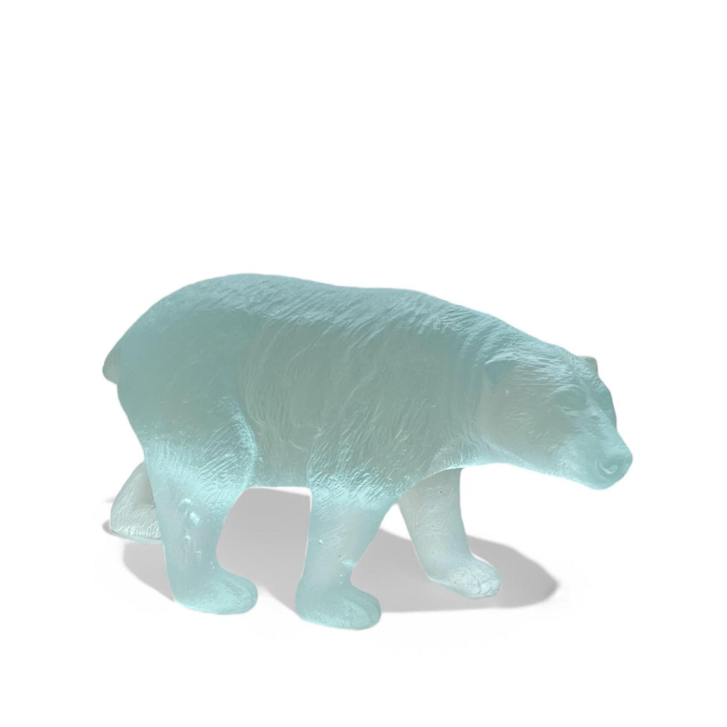 Polar Bear
