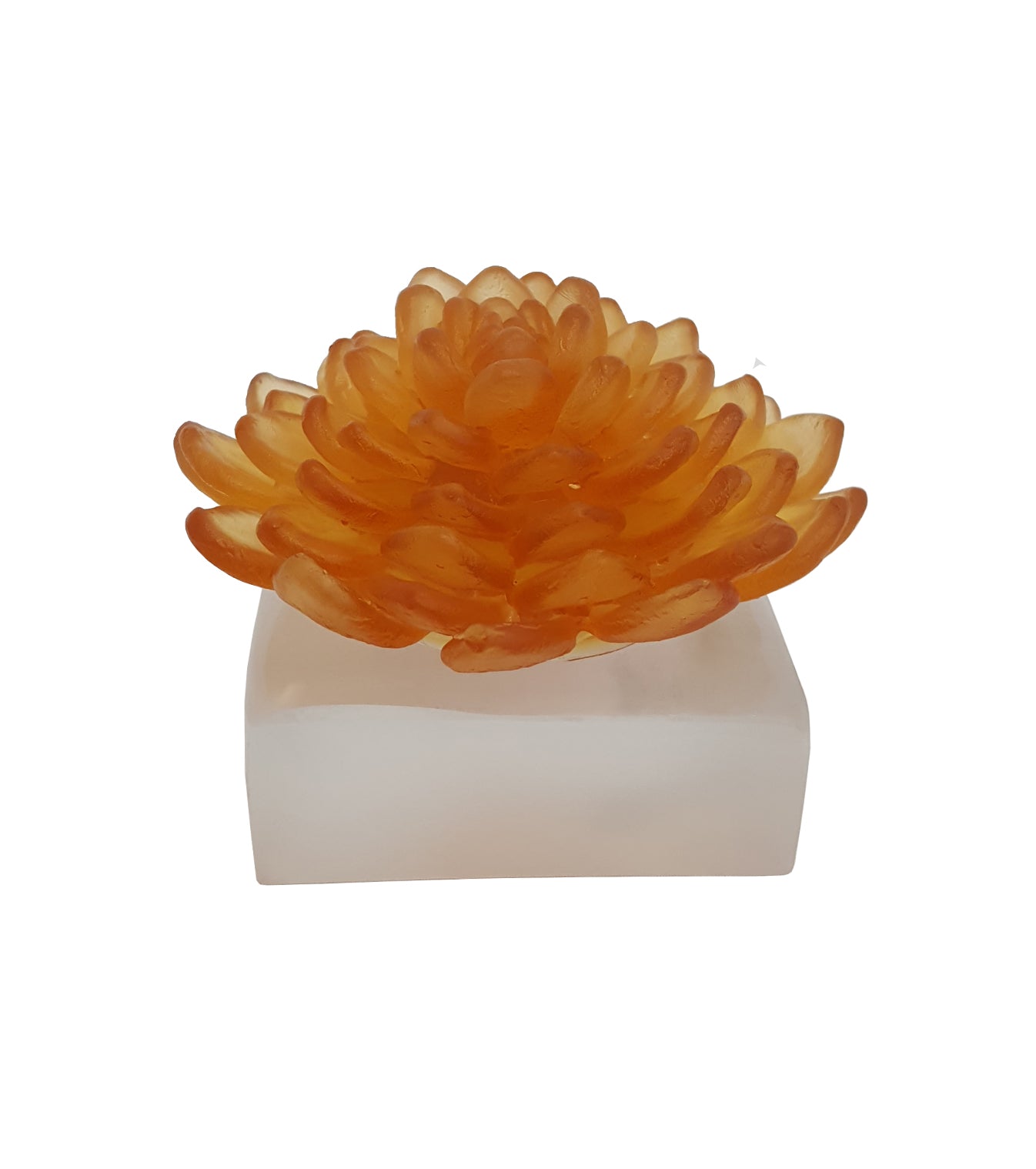 Pera Lotus Flower