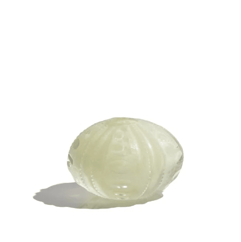 Sea Urchin Vase