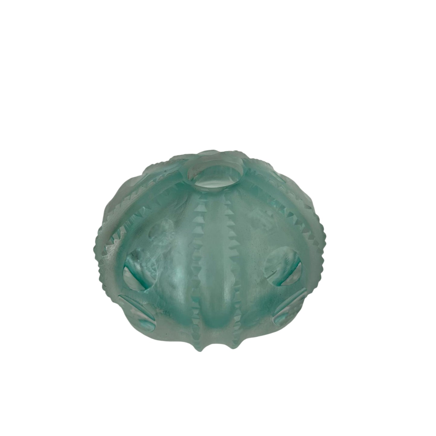 Sea Urchin Vase