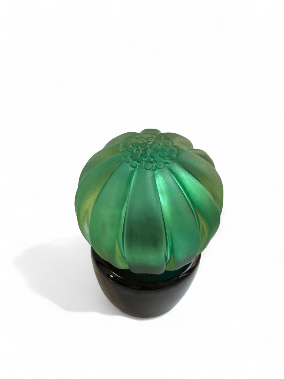 Amazonia Barrel Cactus Sculpture