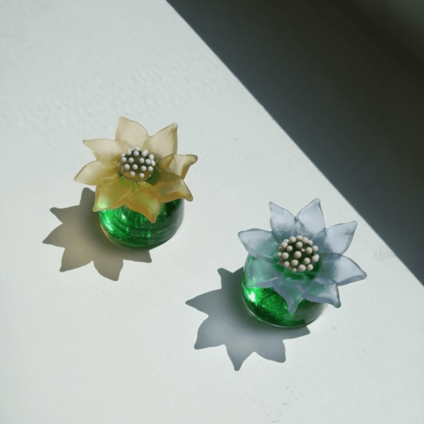 Cacti Flowers