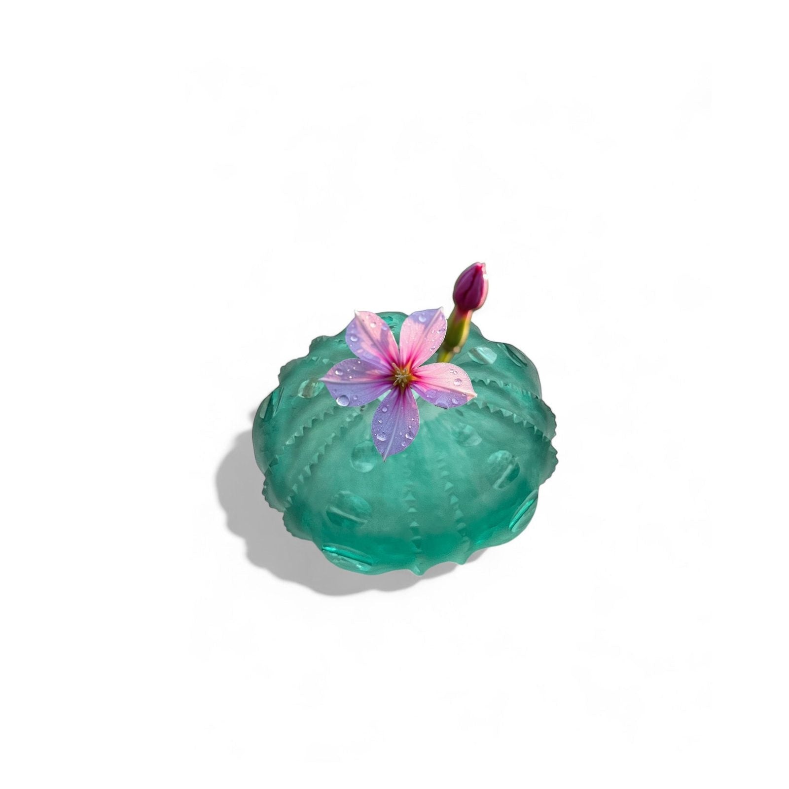 Sea Urchin Vase