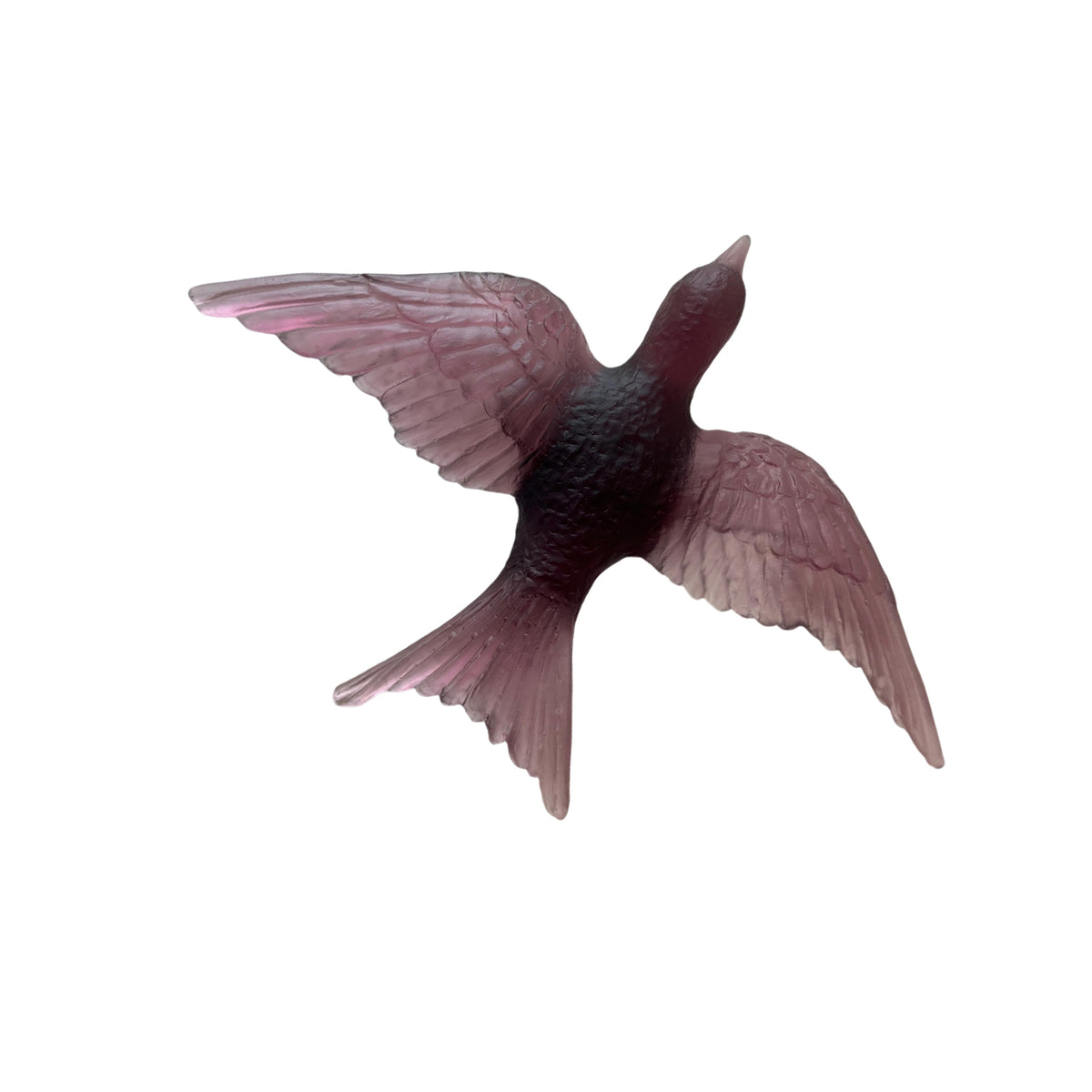 Swallow