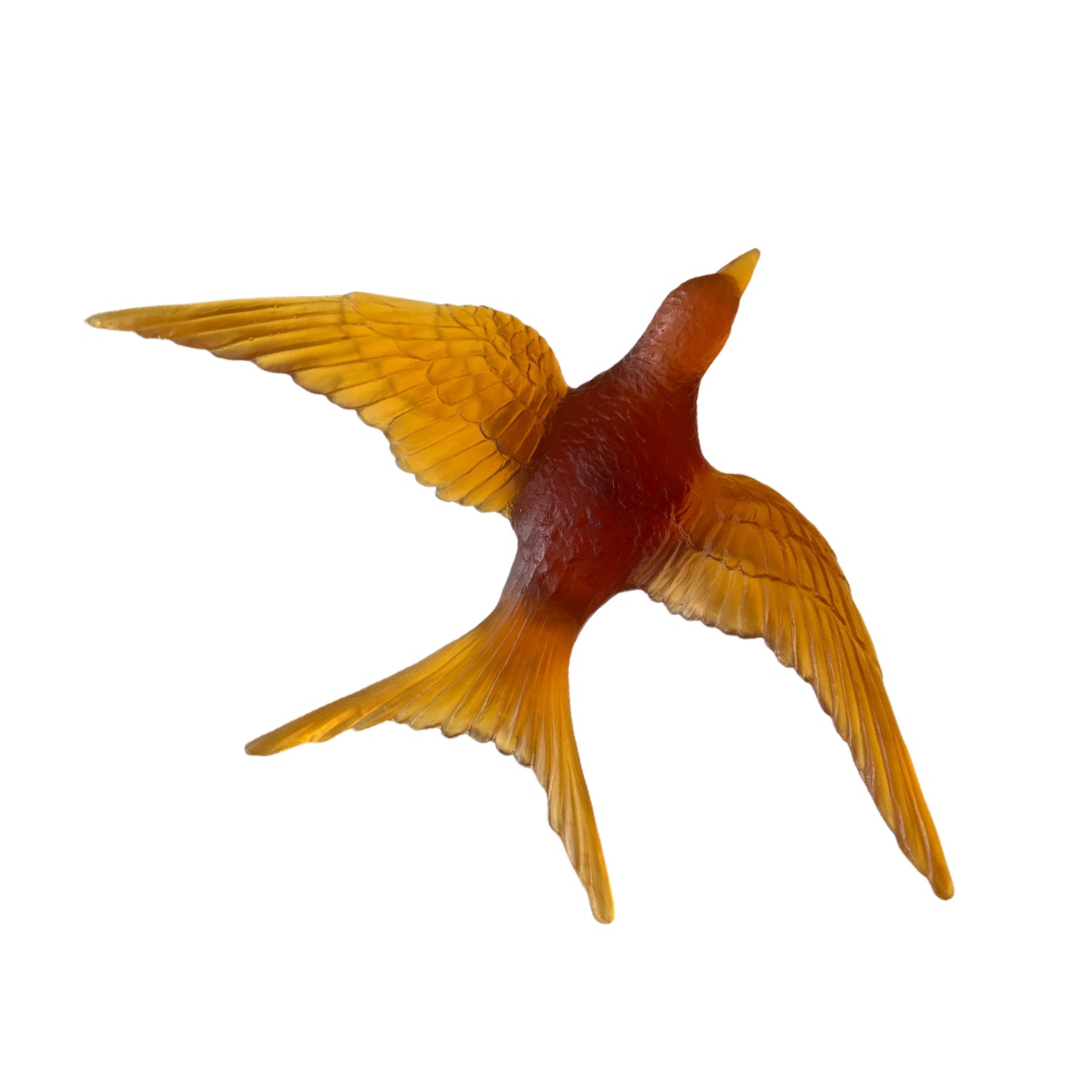 Swallow