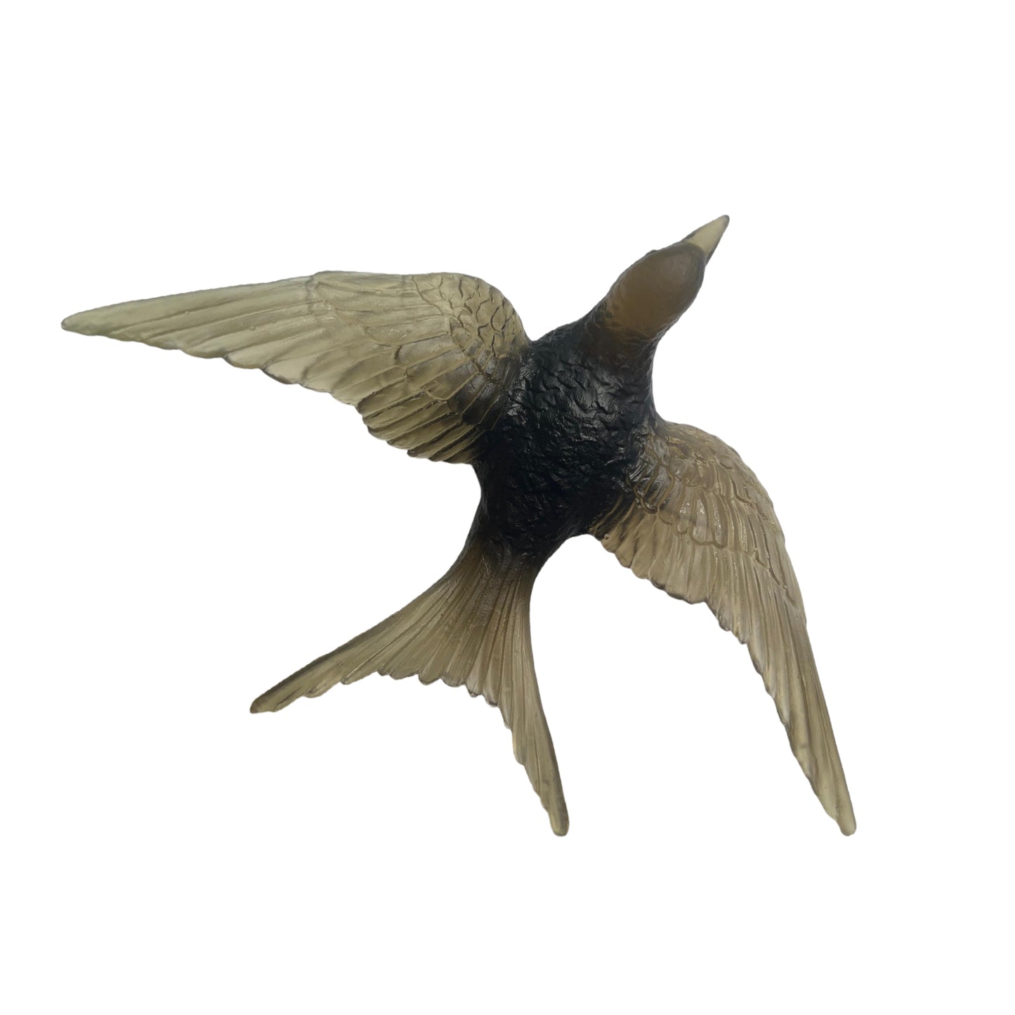 Swallow
