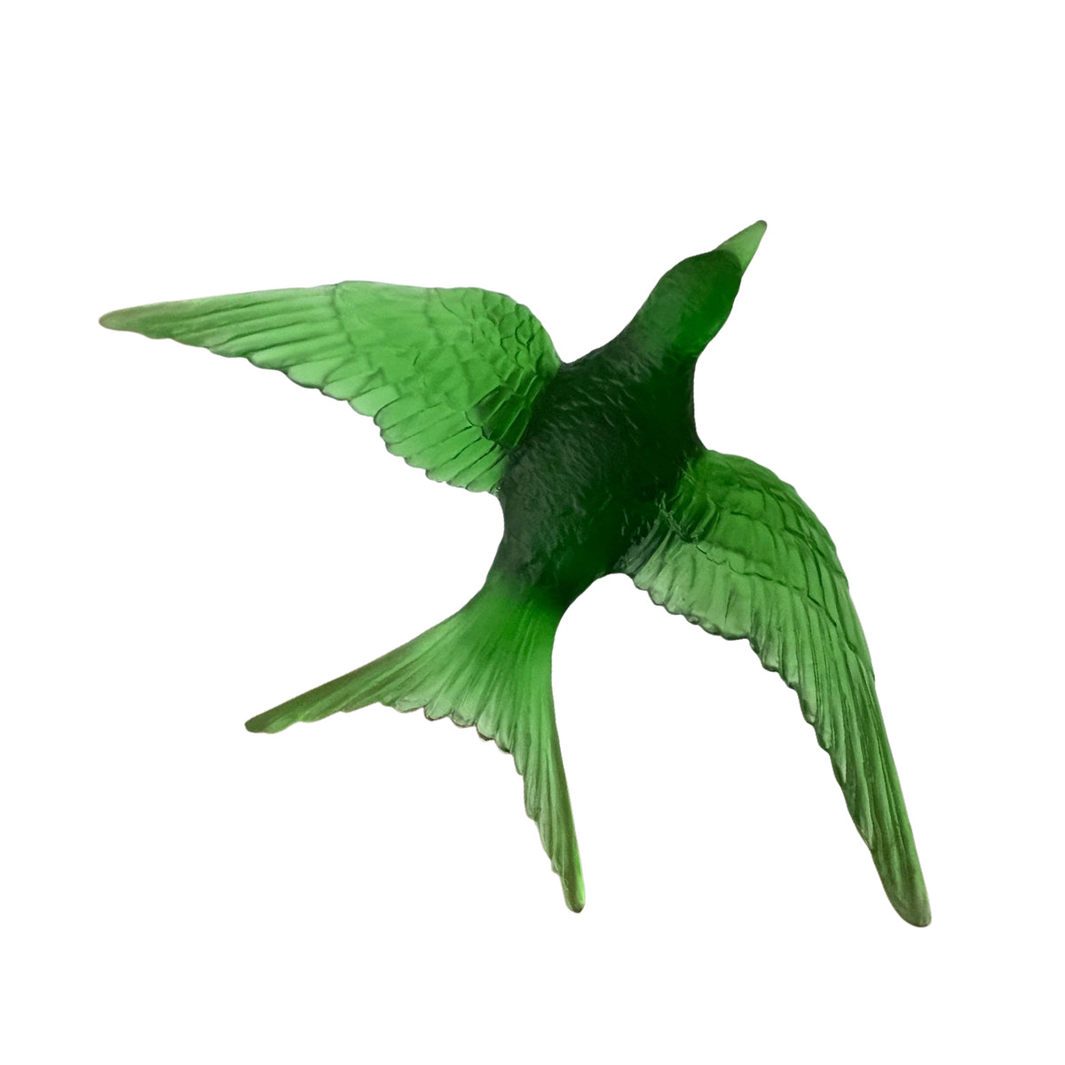Swallow