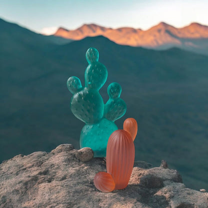 Mini Saguaro Cactus