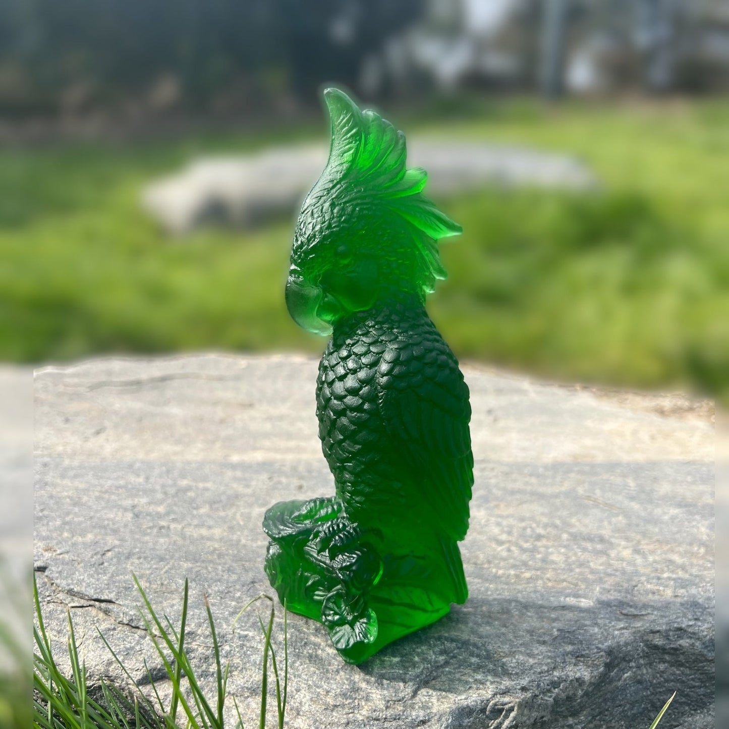 Rio Parrot