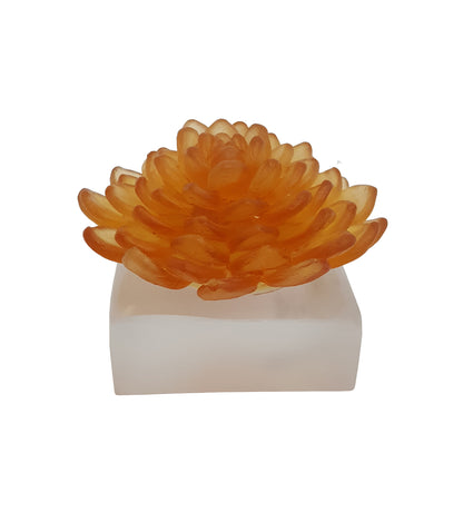Pera Lotus Flower