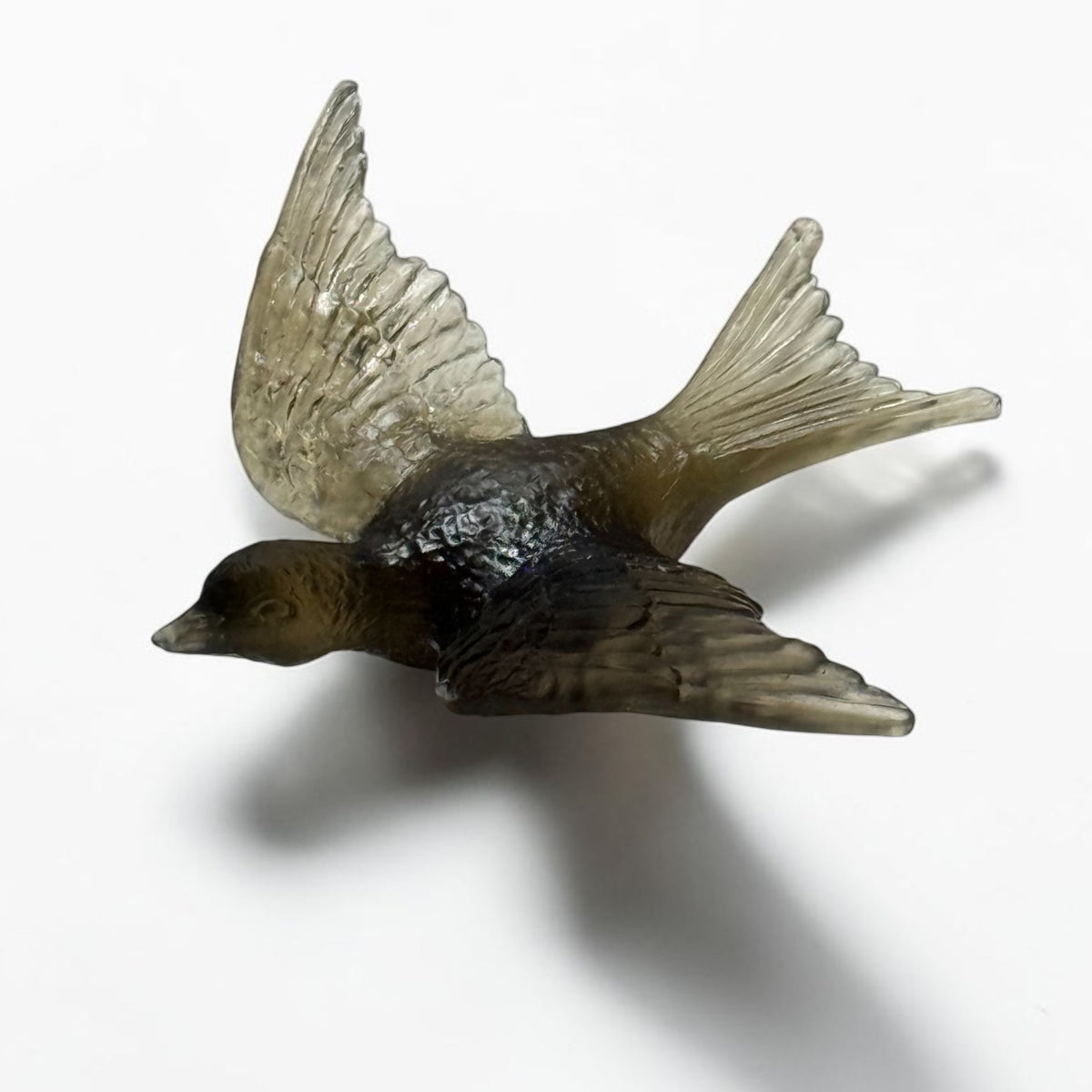 Swallow