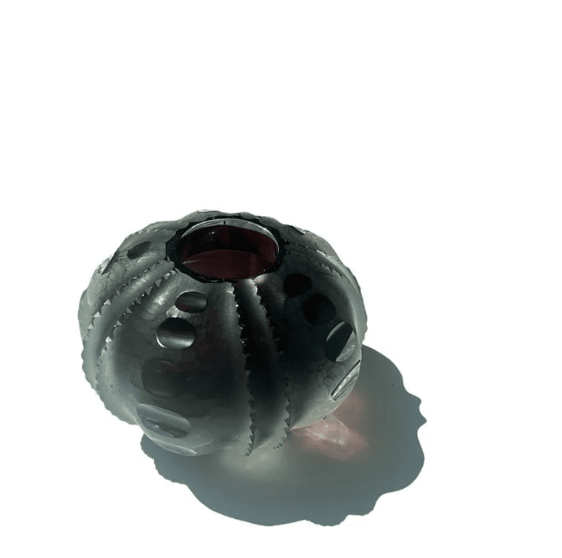 Sea Urchin Vase