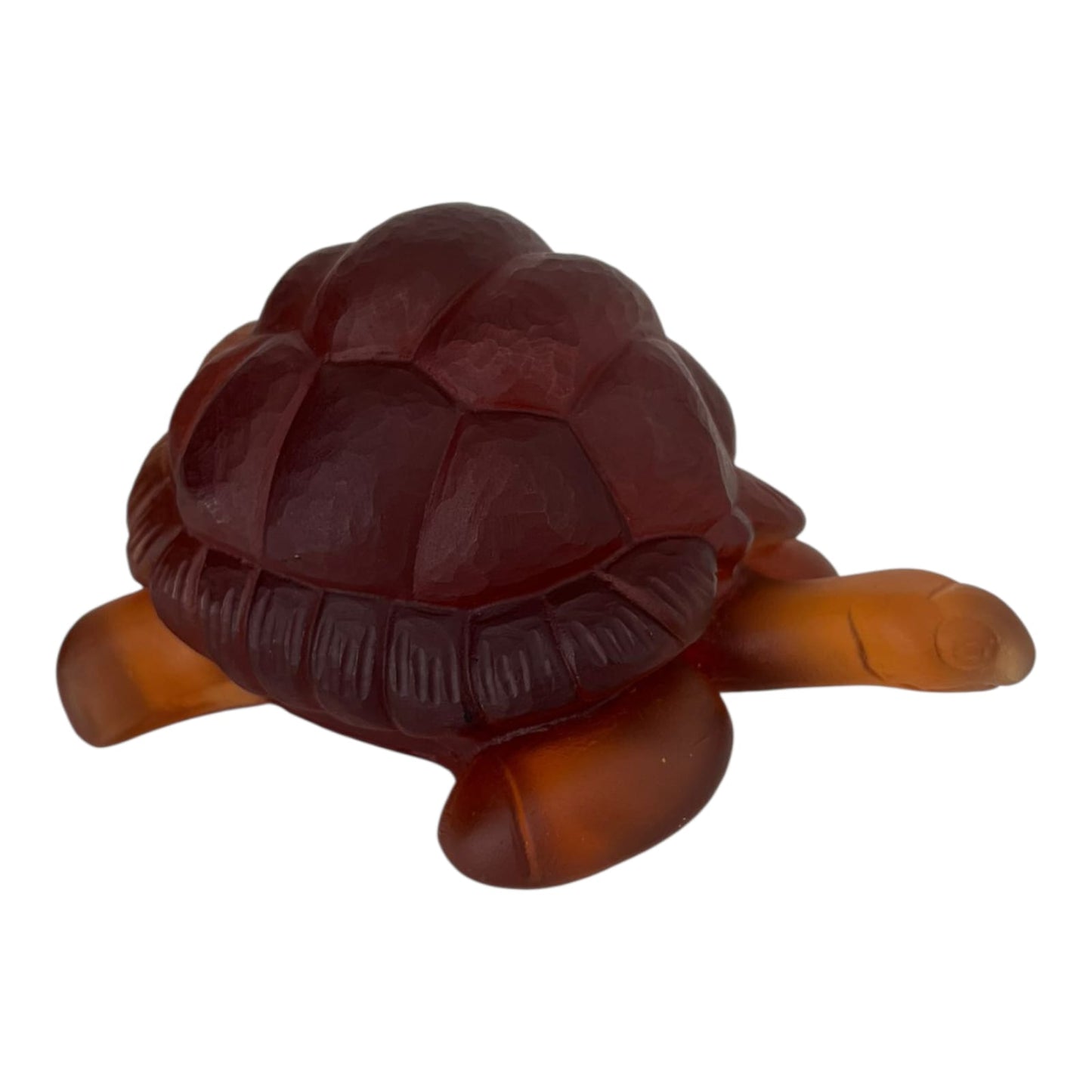Tortoise
