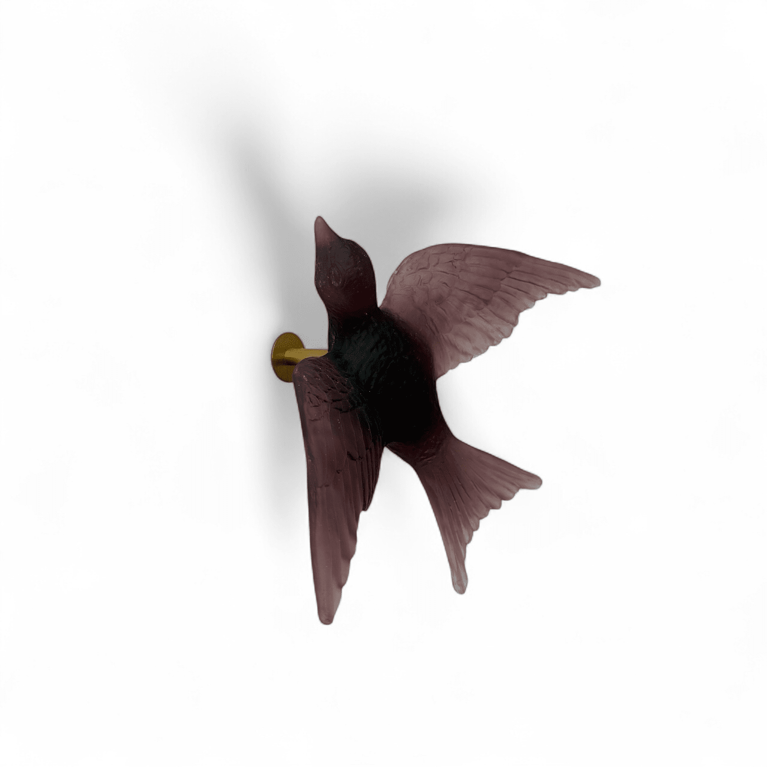 Swallow