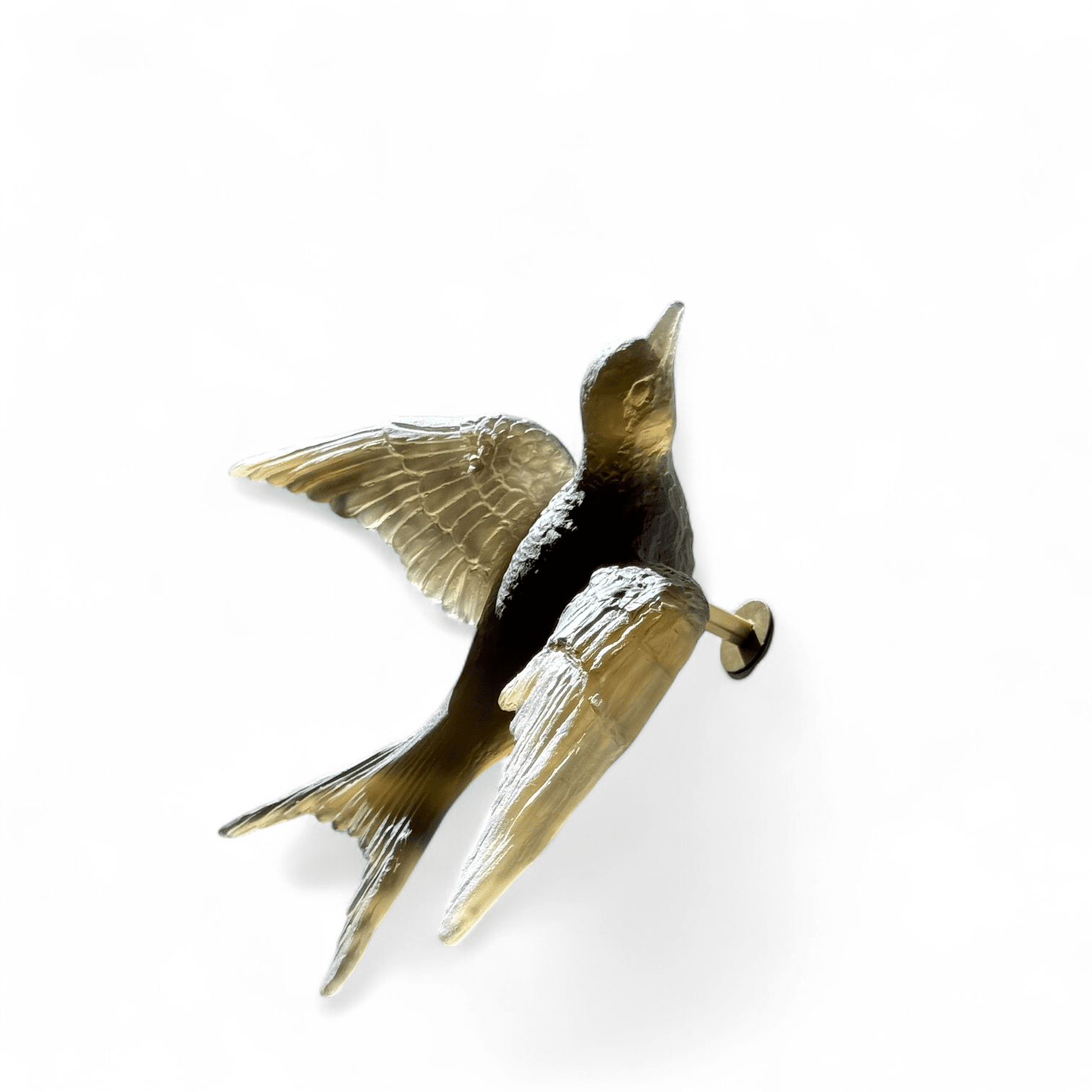Swallow
