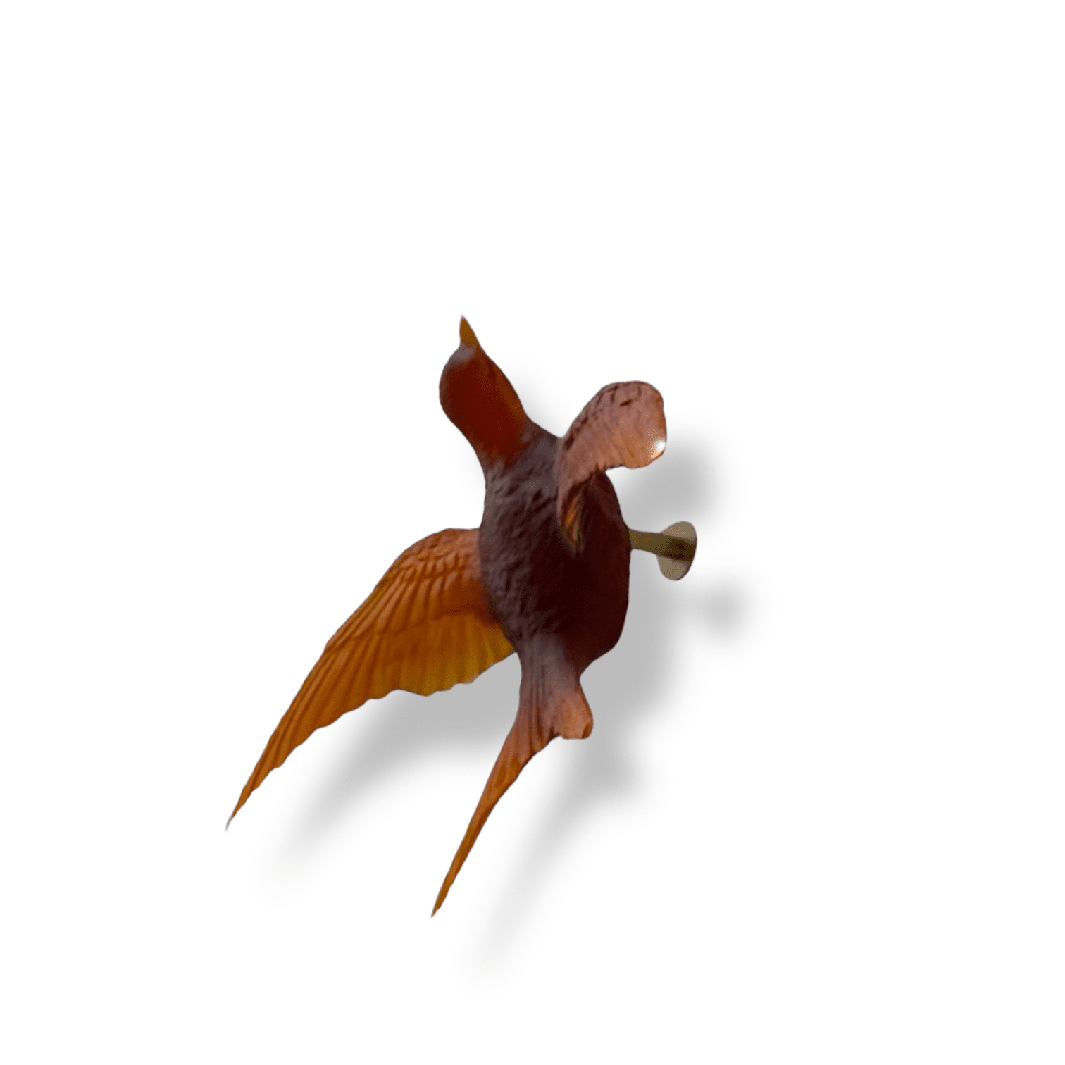 Swallow