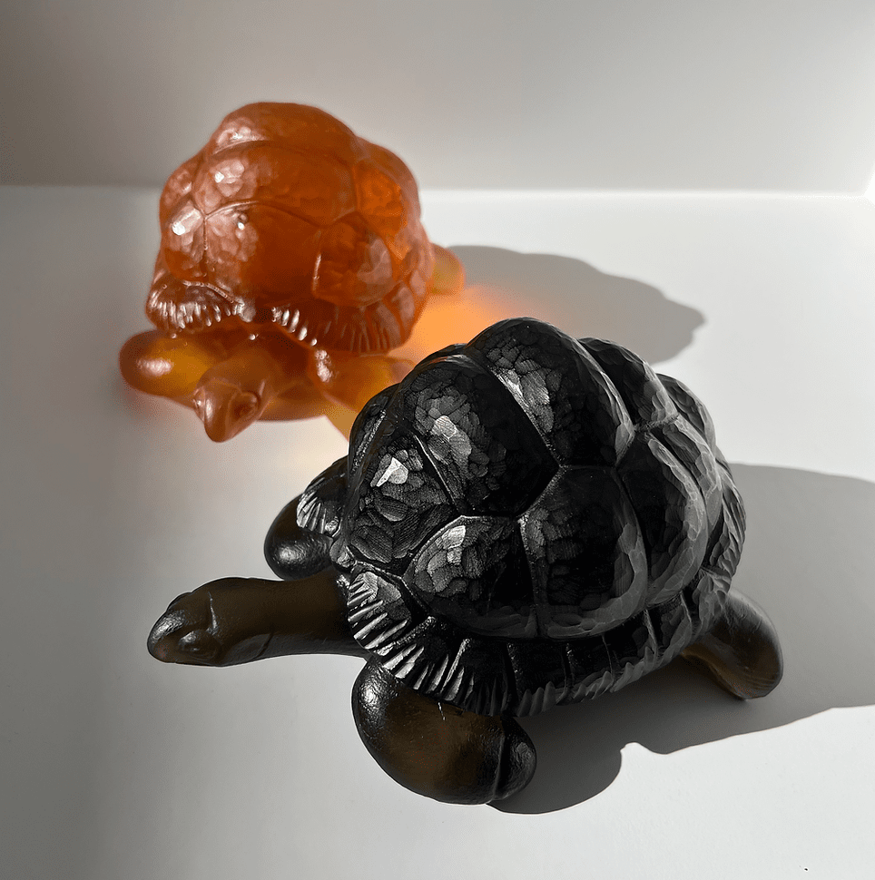 Tortoise